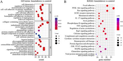 Transcriptome analysis to explore the mechanism of downregulated TNIK influencing the effect of risperidone
